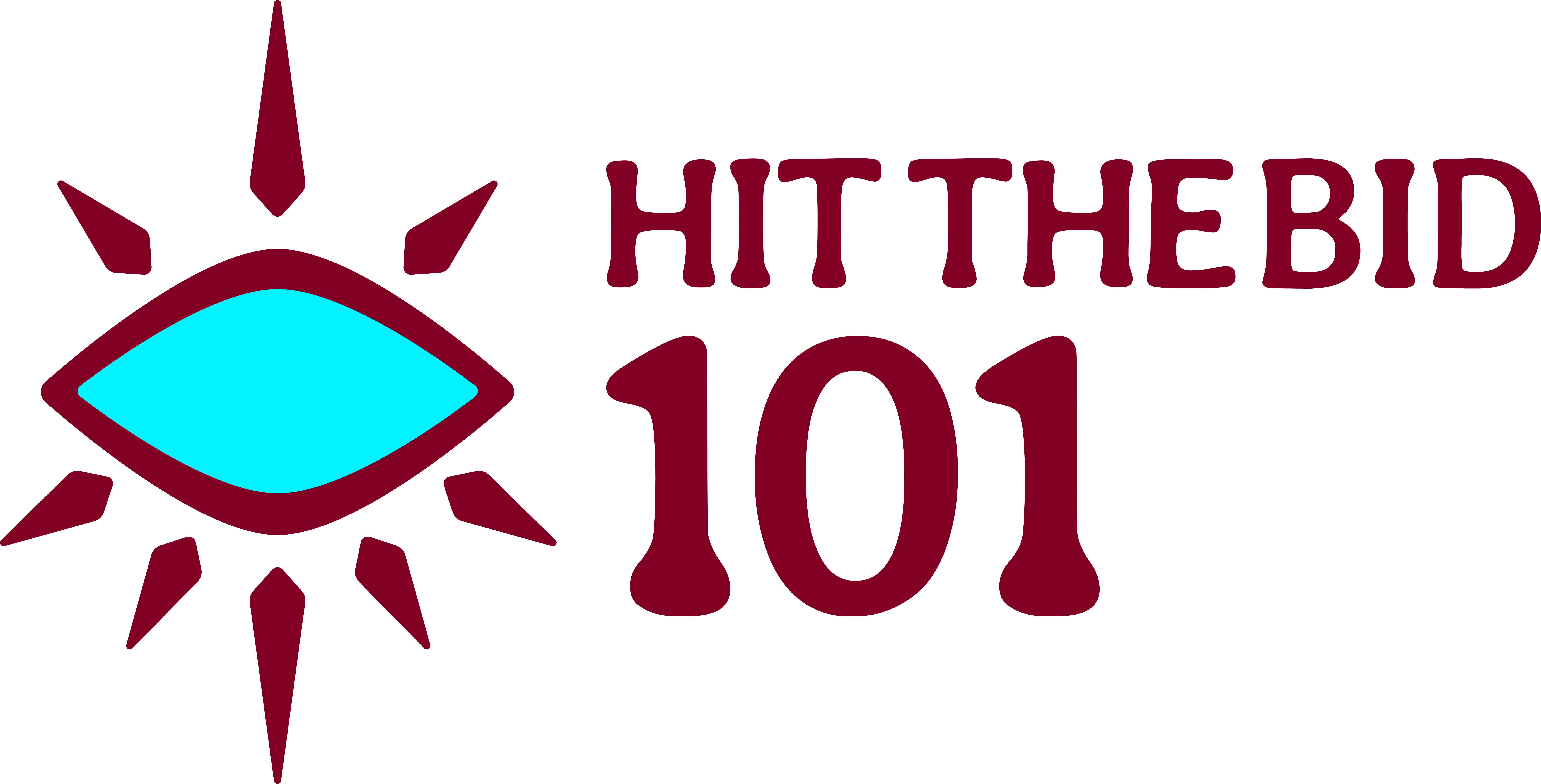 hit the bid 101 logo